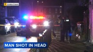 Man dead after shooting in Cobbs Creek section of Philadelphia: police