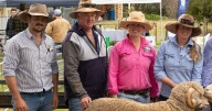 Belswick Merino ram sale result September 2025 Condobolin