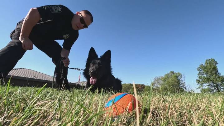 Behind the scenes: Ohio's canine crimefighters start training in Marysville