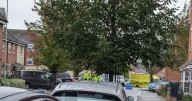 Armed police and ambulance seen in Kingsway