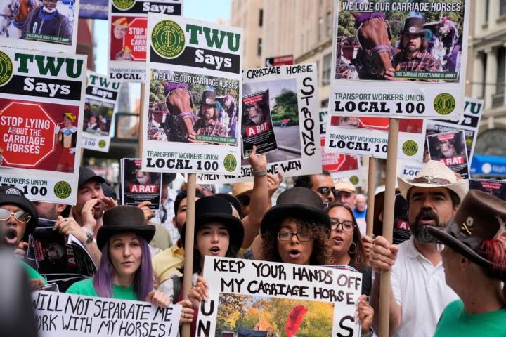 NYC mayor throws support behind bill to ban Central Park horse carriages