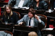 Las perlitas de la sesión. Del diputado que se puso una peluca para votar al fuerte reto de Martín Menem a Victoria Tolosa Paz