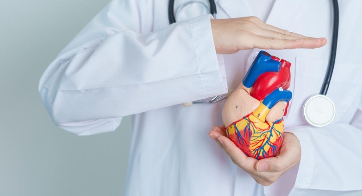 Día Mundial del Corazón: ¿por qué se sufren de enfermedades cardiovasculares desde temprana edad?