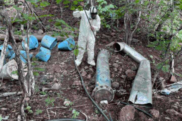 Ejército asegura laboratorio clandestino y 13 áreas de químicos en Sinaloa
