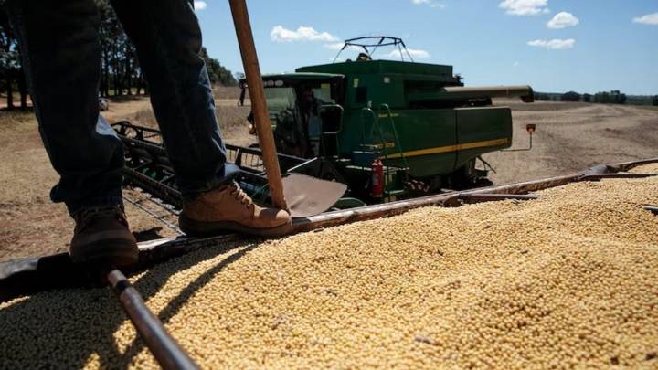 Tras la eliminación de las retenciones al campo, advierten cuáles serán las consecuencias en la economía
