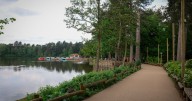 Center Parcs plans exciting Sherwood Forest change after visitors love new 'rollercoaster'