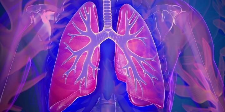 ¿Cómo limpiar los pulmones rápido?