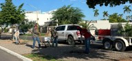 Reforestan camellón; JPO invita a adoptar un árbol
