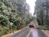 As La Niña and drought raise storm risks, BC Hydro says young adults least prepared for outages