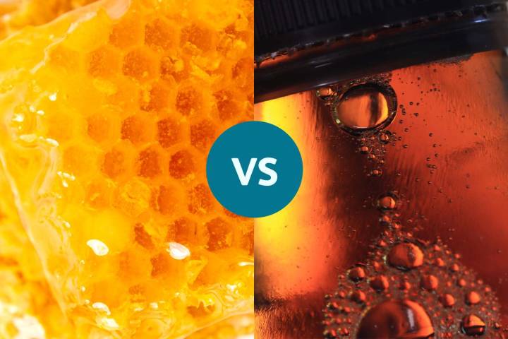 Maple Syrup vs. Honey: Which Sweetener Is Better for Nutrition, Healing, and Blood Sugar?