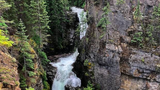 2 dead, 3rd presumed dead, after hikers go over waterfall in the Kootenays: RCMP