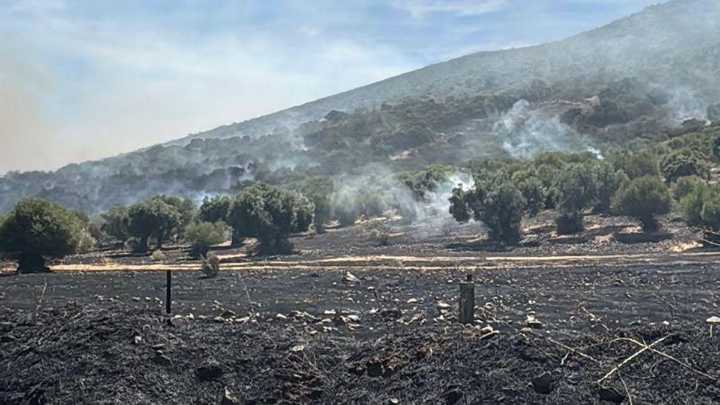 El incendio de Las Cruces lleva a que Medina suspenda fuegos artificiales