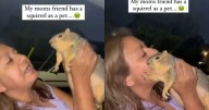 “¿Por qué está tan rechonchita?”: joven descubre que la amiga de su madre tiene una ardilla como mascota