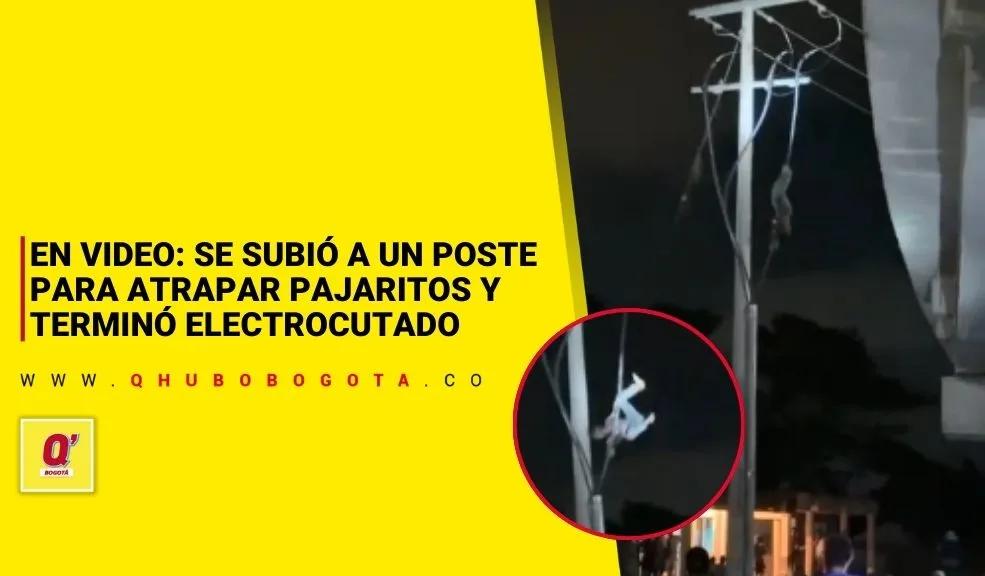 En video: se subió a un poste para atrapar pajaritos y terminó electrocutado