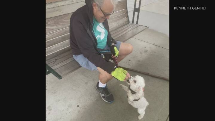 Tacoma dog dies of suspected fentanyl overdose at park