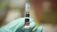 ACIP panel weighs delaying hepatitis B vaccine schedule from birth