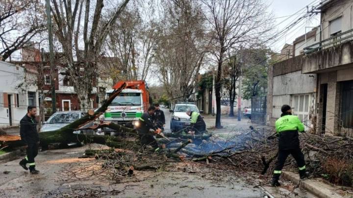 Cien cuadrillas municipales trabajan para normalizar los efectos de la tormenta en la ciudad
