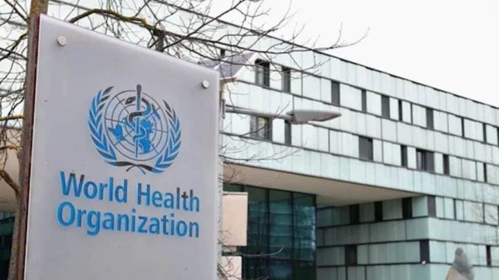 'Evidence Remains Inconsistent': WHO On Autism Risk From Paracetamol Use During Pregnancy