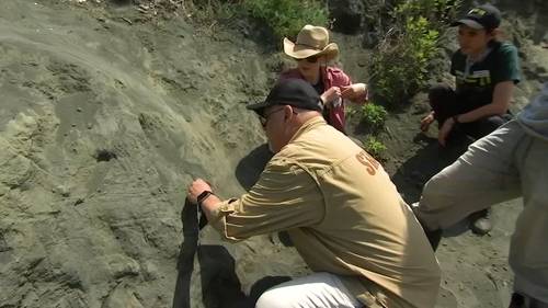 Art of Aging: Mantua, New Jersey resident Louis Iocona digging work at Edelman Fossil Park & Museum
