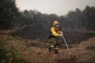 Los incendios arrasan 348.349 hectáreas en España en lo que va de año