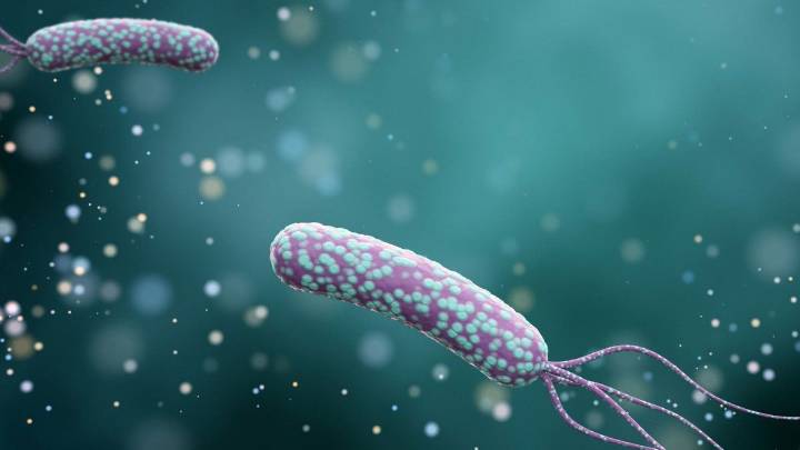 Alertan por los riesgos de una bacteria "silenciosa" que afecta al 50 por ciento de los argentinos