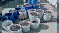 Proposed ordinance in Kern County aims to crack down on copper wire theft