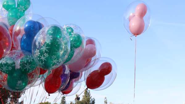 Everything you needed to know and more about scattering ashes at a Disney park