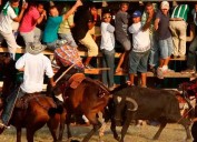 ¿En cuáles municipios de Antioquia todavía se hacen corralejas y peleas de gallos? Tienen hasta 2028 para acabarlas, por orden de la Corte