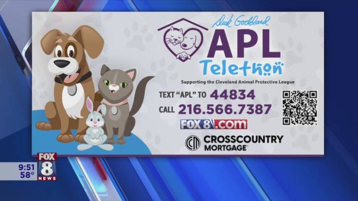 Your donation to the annual Dick Goddard APL Telethon can help save an animal's life