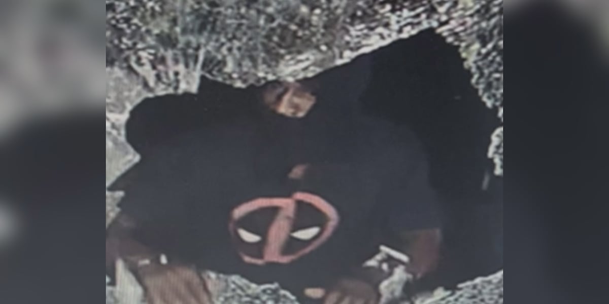Police investigating break-in at Kinston Dollar General