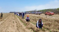 Trujillo: Realizan jornada de reforestación en El Tablazo 