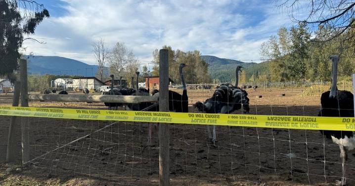 Photo Gallery: Supporters rally at ostrich farm