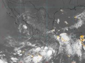 Crece a 90% la probabilidad de que se forme el ciclón 'Mario' en costas de México; estos serían los estados afectados