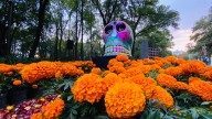 Chapultepec celebrará a la música con ofrendas dedicadas a compositores en Día de Muertos