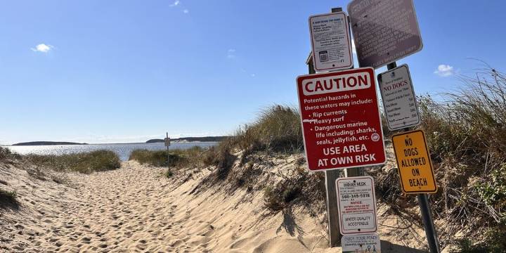 8-year-old boy bitten by shark while snorkeling off Key Largo