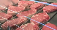 Despite higher prices, Americans are not cutting back on beef