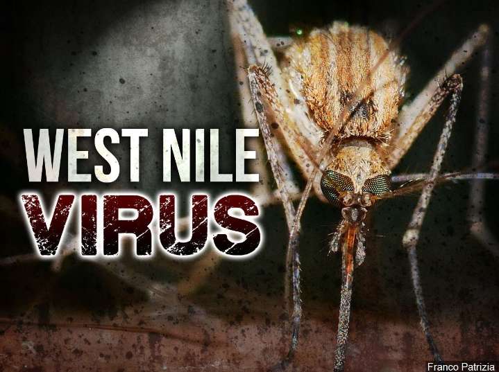 Lexington health department to spray for mosquitoes after third West Nile case