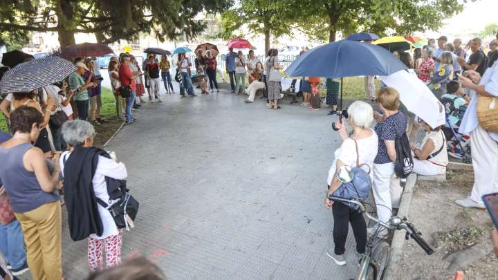 El futuro de los árboles de Harineras vuelve a movilizar a los vecinos