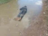 Lo encontraron muerto en un charco