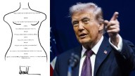 ‘Trump’s birthday letter to Epstein with naked woman outline and his signature’ released