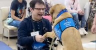Disability advocate says Uber drivers frequently refuse to pick him and his service dog up