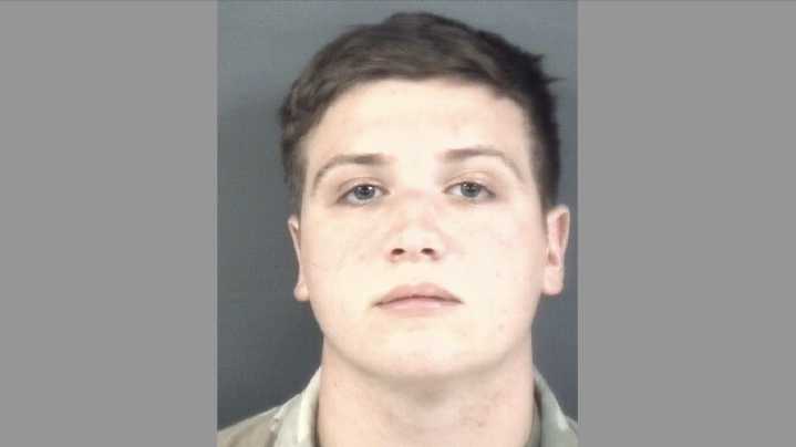 Ex-soldier linked to far-right groups pleads guilty to gun charge