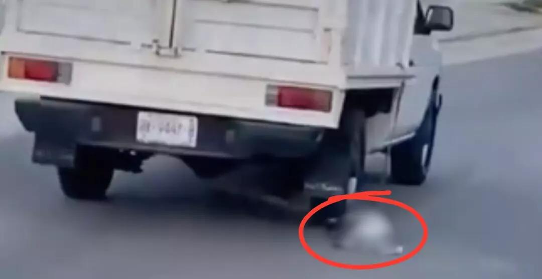 VIDEO ¡Bestia al volante! Arrastra a un perro por las calles de Puerto Escondido y lo deja al borde de la muerte