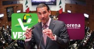 Senador Luis Armando Melgar del PVEM acusa que hay ‘ratas’ en Morena