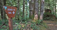 Coos Bay's Doerner Fir Trail closed for safety after wildfire