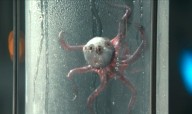 In ‘Alien: Earth,’ No One Can Hear the Eyeball’s Warning