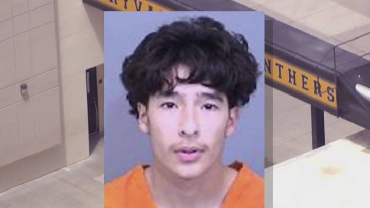 Maryvale High School deadly stabbing: Teen suspect to enter plea in court