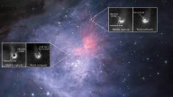 Baby 'failed star' has unusually rich planet-forming disk, James Webb Space Telescope finds