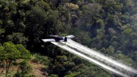 ¿Debería Colombia volver a fumigar con glifosato y otros herbicidas los cultivos de coca ante la presión de Estados Unidos? Diego Molano y Wilson Ruiz lo analizan