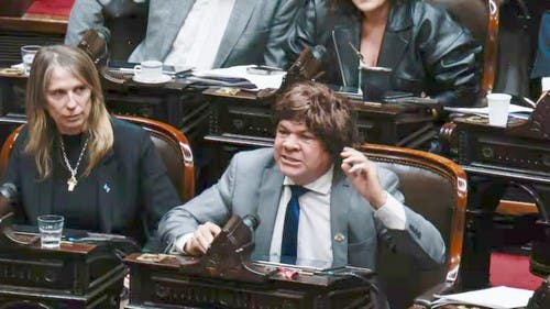 El diputado peronista Aldo Leiva se puso peluca para votar contra los vetos de Javier Milei (VIDEO)